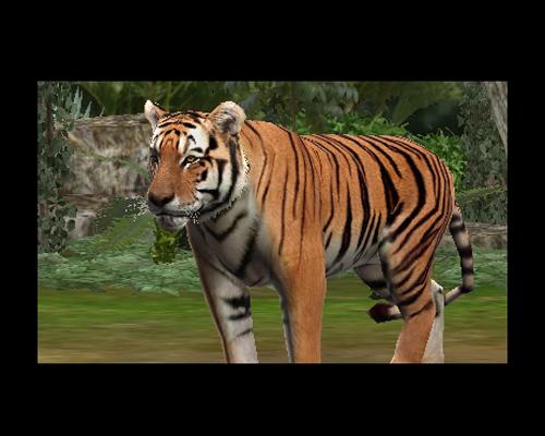 Zoo Resort 3D для Nintendo 3DS выйдет в сентябре 2011