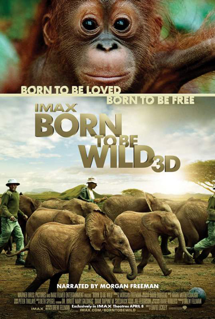 3D-фильм «Рожденные быть дикими»: история про людей и животных