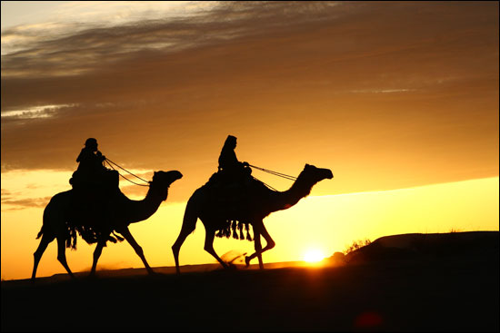 3D-фильм Грега МакГилливрея (Greg MacGillivray) «Аравия 3D» («Arabia 3D»)