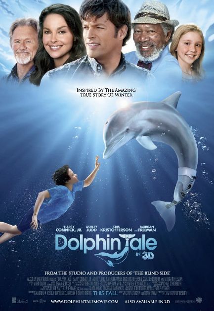 Мировая премьера 3D-фильма «История дельфина» состоится 21 сентября 2011 года