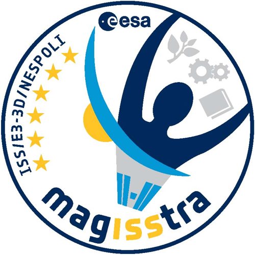 MagISStra