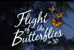 «Полет бабочек 3D» (Flight of the Butterflies 3D)