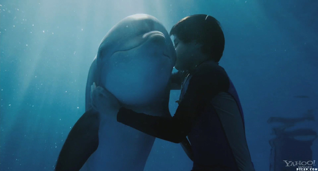 3D-картина, в основу которой легла правдивая история жизни дельфина Винтер