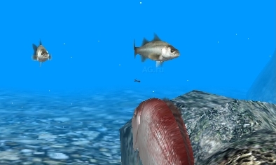 Reel Fishing Paradise от Natsume с поддержкой стерео 3D