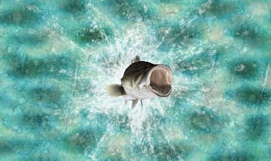 Симулятор рыбалки Reel Fishing Paradise для Nintendo 3DS