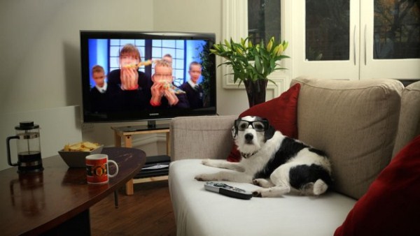 3dtv-for-the-dogs-625x352