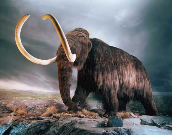 3D-фильм «Ледниковый период» о шерстистых мамонтах и других животных эри плейстоцена