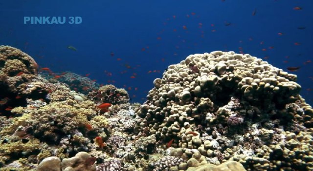 Ocean Dive 3D («Погружение на дно океана 3D») от Pinkau Interactive Entertainment