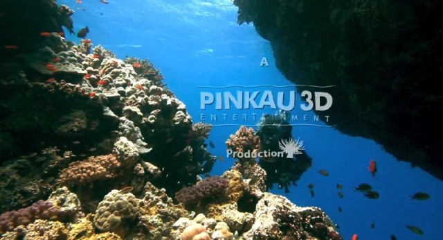 YouTube 3D: Ocean Dive 3D («Погружение на дно океана 3D»)