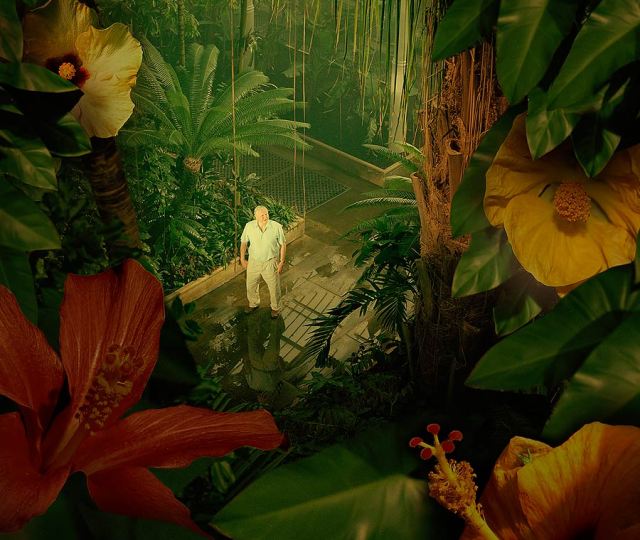 «Царство растений» в 3D на Nintendo 3DS XL