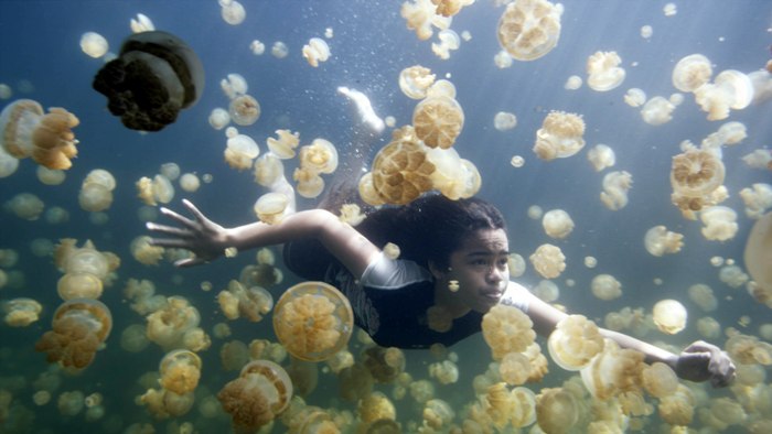 Красоты подводного мира – в стерео документалке «Последний риф 3D» (The Last Reef 3D)