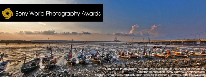 Sony World Photography Awards SWPA 2013: объявлен победитель в 3D-номинации