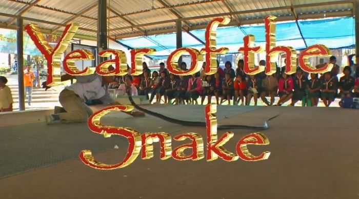 Шоу со змеями в новом трёхмерном видеоролике "Year of the Snake" на YouTube стерео 3D