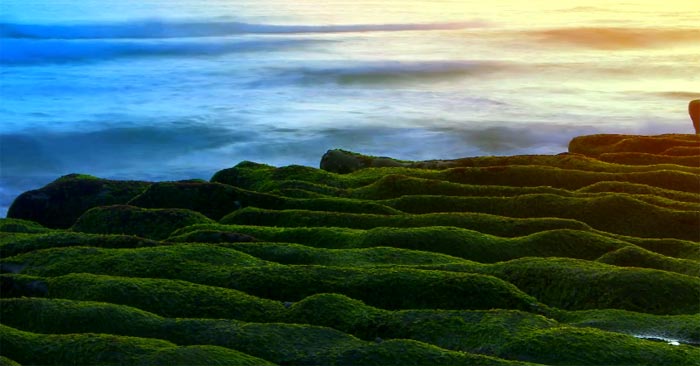 Зелёный риф Лаомей: красивейшие пейзажи на YouTube 3D