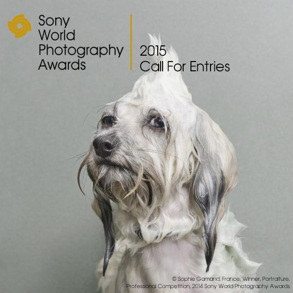 Фотоконкурс Sony WPA 2015: открыт приём заявок