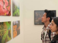 Фотоконкурс Sony WPA 2015: открыт приём заявок Фотоконкурс Sony WPA 2015: открыт приём заявок