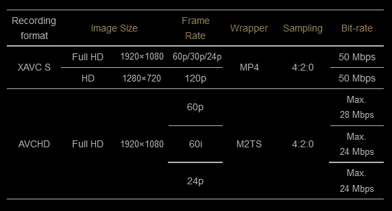 Sony A7S: форматы записи видео 