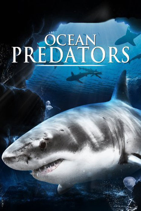 Хищники океанов 3D (Ocean Predators): полнометражная документалка на YouTube