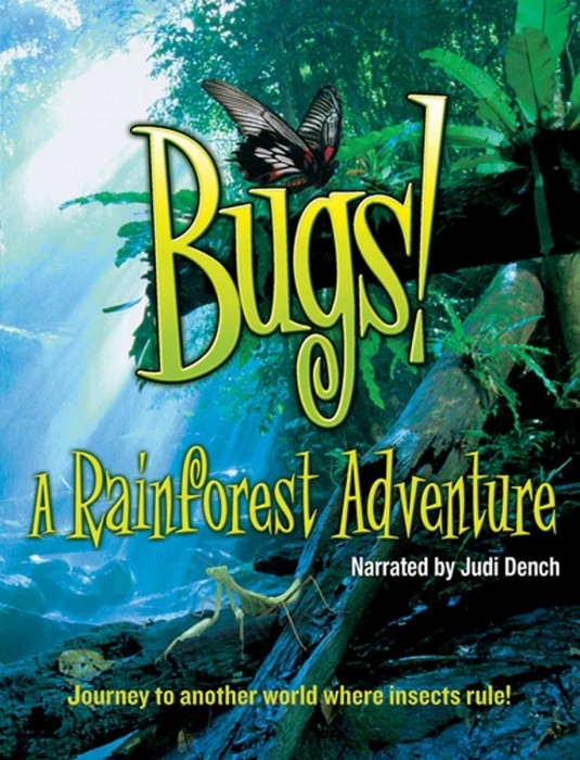 Букашки! Приключения в тропическом лесу (Bugs! A Rainforest Adventure): из жизни насекомых на YouTube 3D