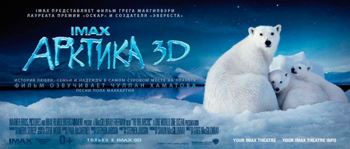 В Арктику 3D (To The Arctic): документальная лента IMAX на YouTube