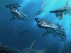 Пираты Карибского моря: Мертвецы не рассказывают сказки: все о фильме Пираты Карибского моря: Мертвецы не рассказывают сказки