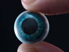 Mojo Vision: контактные линзы с добавленной реальностью Mojo Vision: контактные линзы с добавленной реальностью