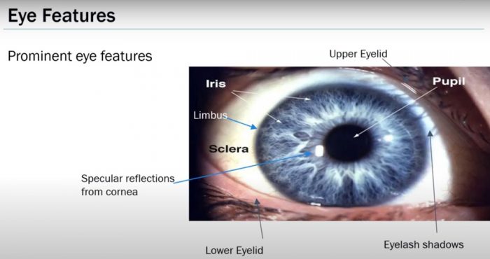 Учебное видео про слежение за глазами в носимых AR/VR-дисплеях