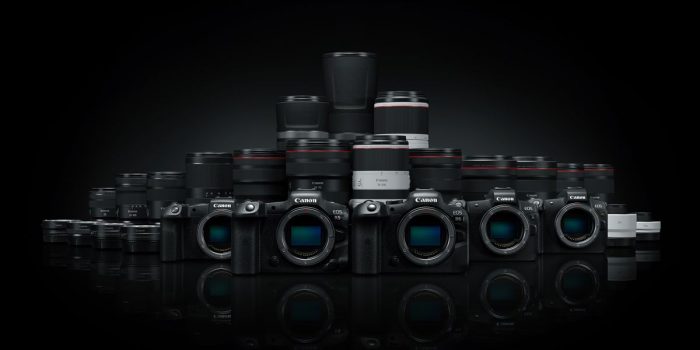 Canon EOS R5 (45 Мп, до 8K-видео) и EOS R6